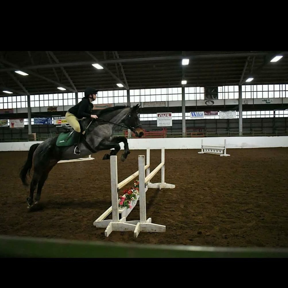 Meet your Posher, Natalie